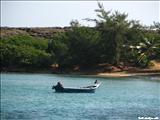 Jobos Beach - ISABELA